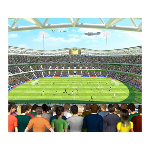 12 panel mural - FOOTBALL CRAZY [40151]